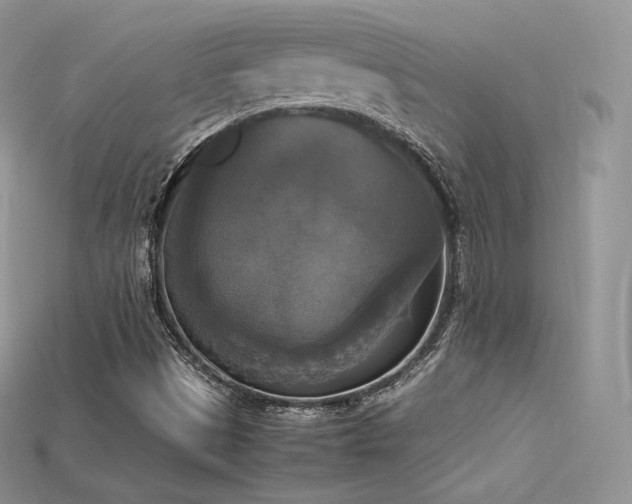 X0000115661497200911121203
