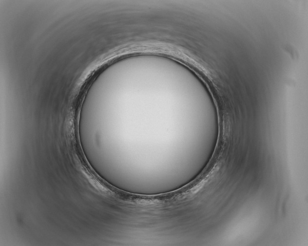 X0000115661498200911121203