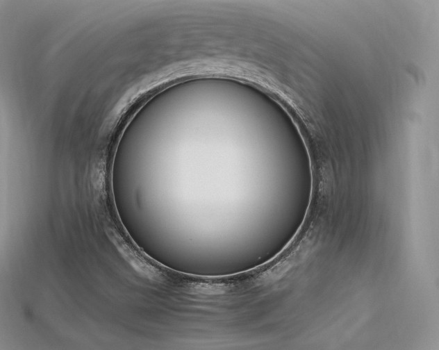 X0000115661499200911121203