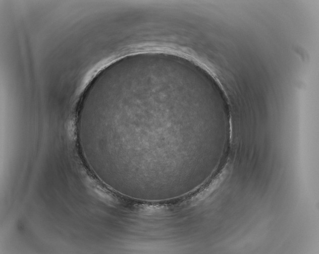 X0000115661501200911121203