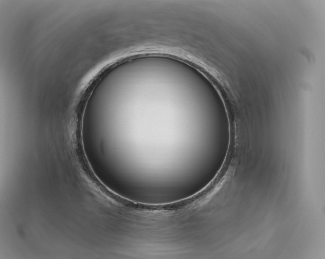 X0000115661502200911121203