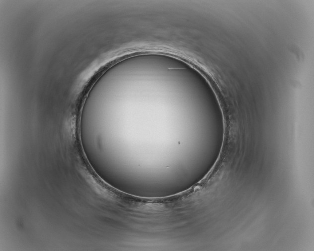 X0000115661503200911121203