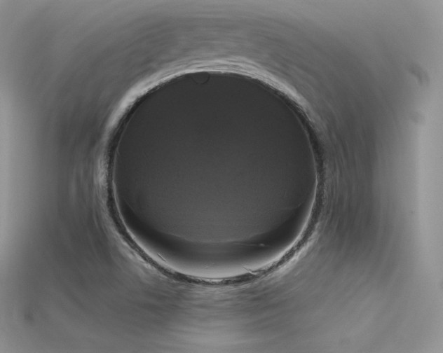 X0000115661506200911121203