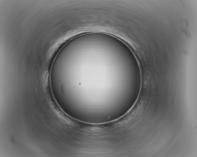 X0000115661507200911121203