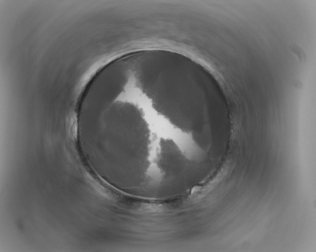 X0000115661509200911121203