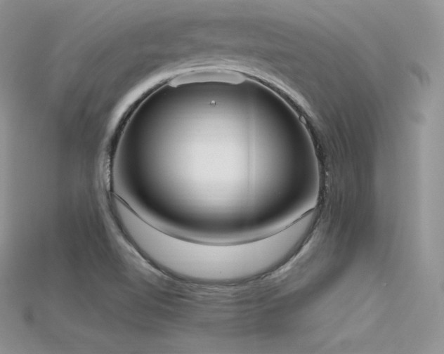 X0000115661510200911121203
