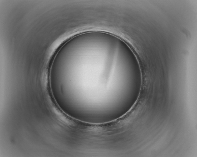 X0000115661511200911121203
