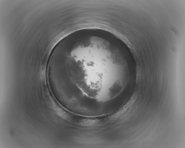 X0000115661513200911121203