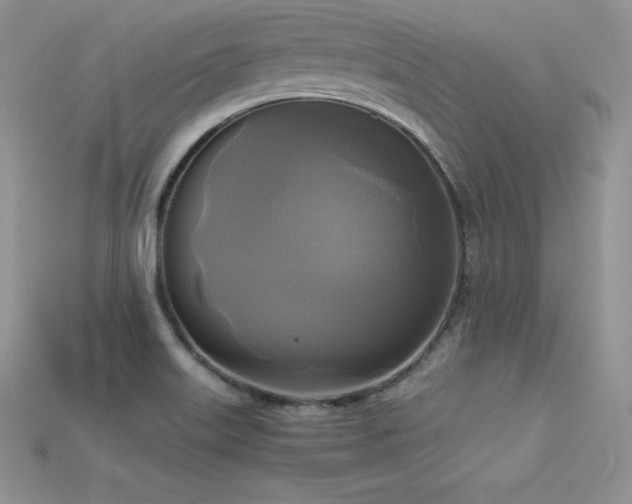 X0000115661515200911121203