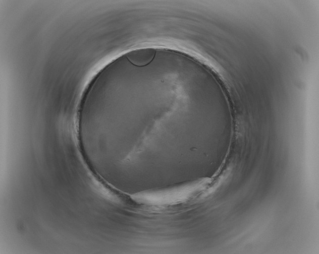 X0000115661517200911121203