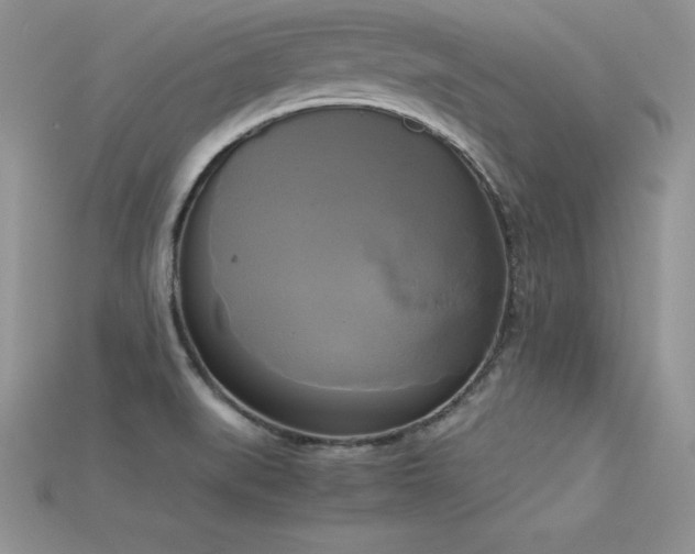 X0000115661519200911121203