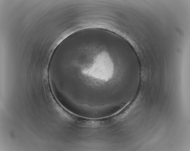 X0000115661521200911121203