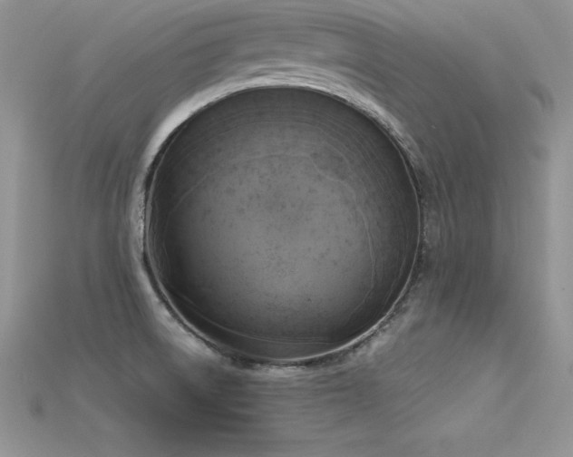 X0000115661522200911121203