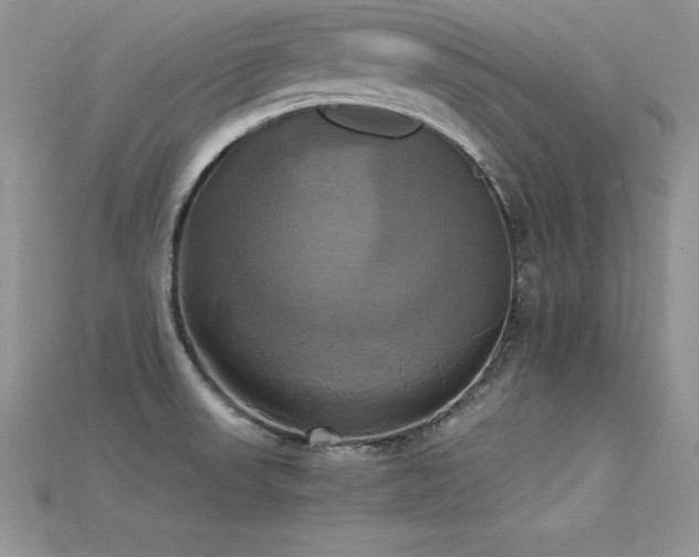 X0000115661523200911121203