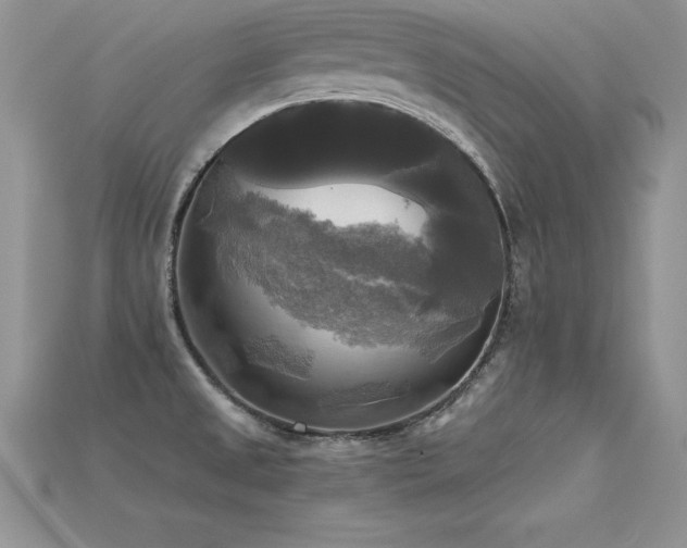 X0000115661525200911121203