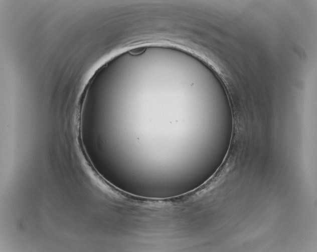 X0000115661526200911121203
