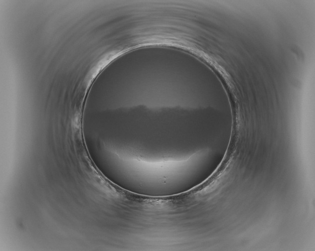 X0000115661529200911121203