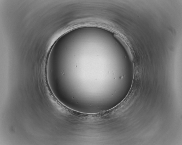 X0000115661530200911121203