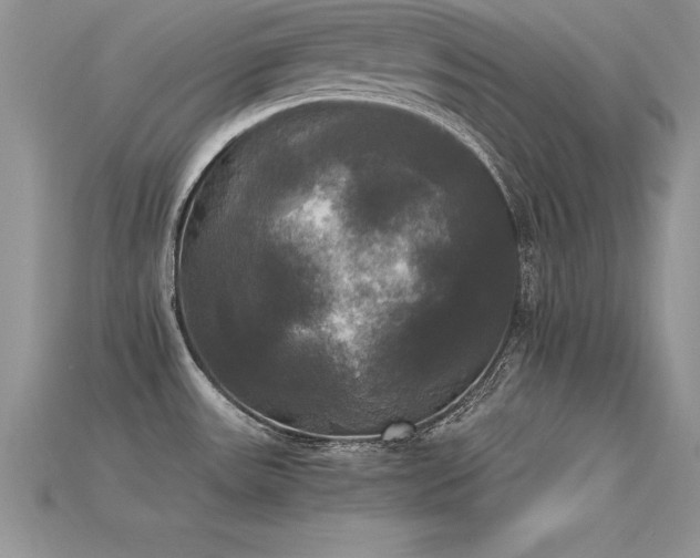 X0000115661531200911121203