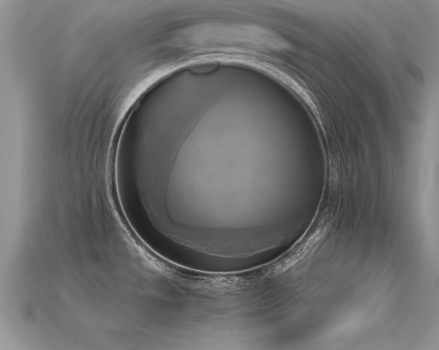 X0000115661533200911121203