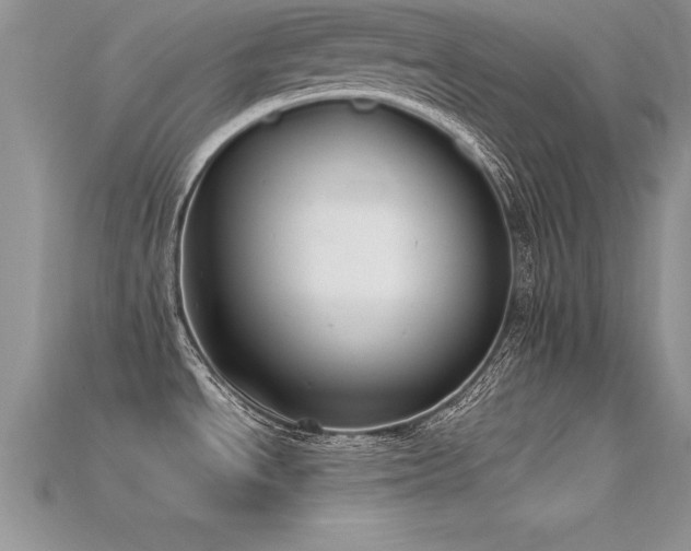 X0000115661534200911121203