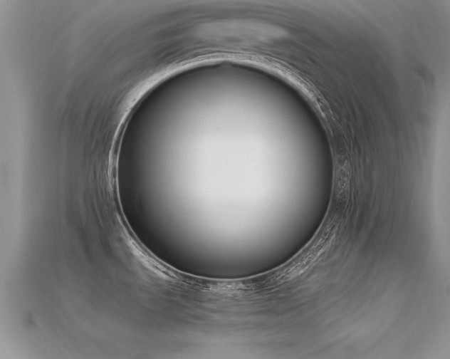 X0000115661535200911121203