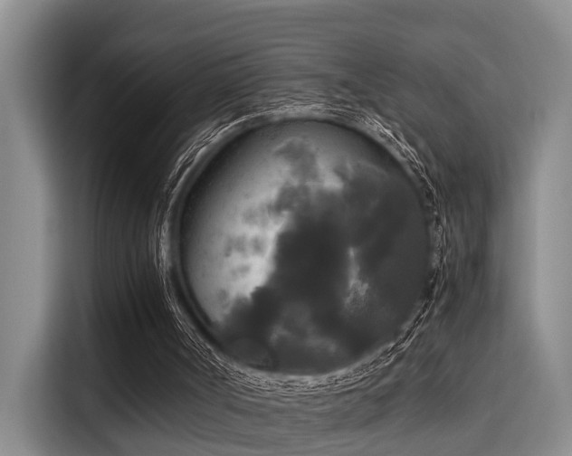 X0000115660002200911191015