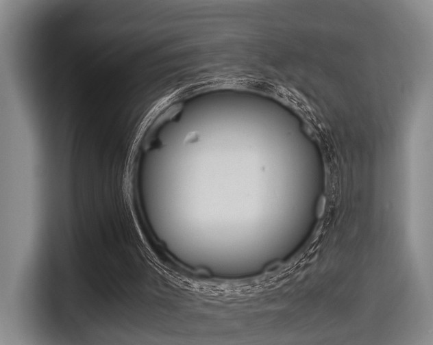 X0000115660003200911191015