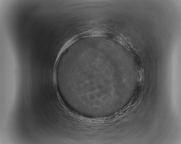 X0000115660004200911191015