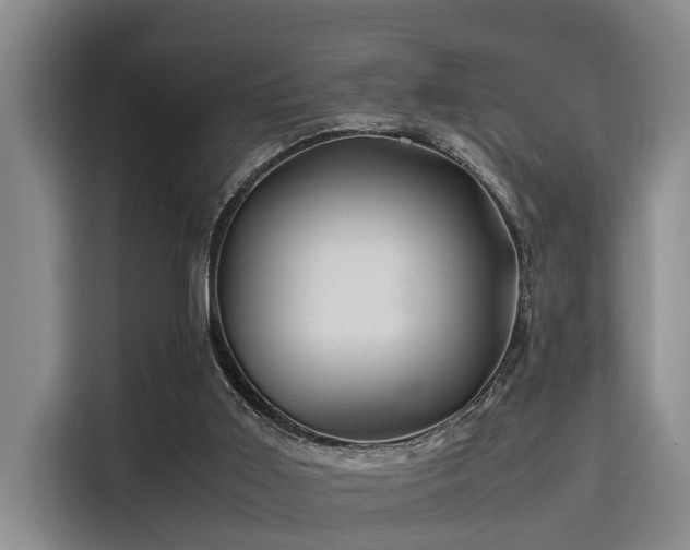 X0000115660011200911191014