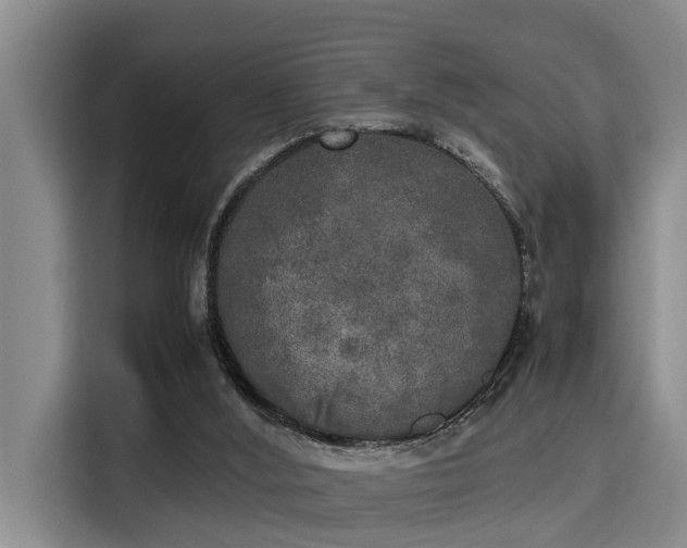 X0000115660012200911191014