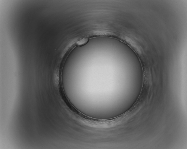 X0000115660015200911191014