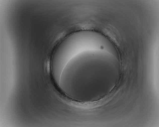 X0000115660019200911191014