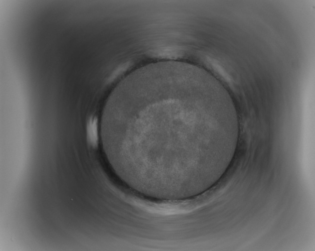 X0000115660020200911191014