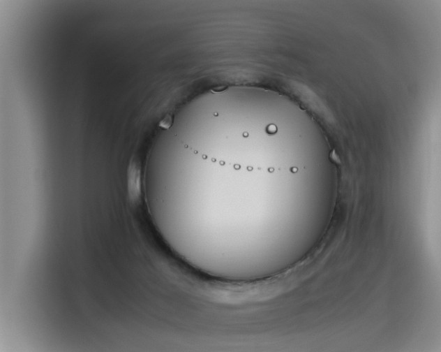 X0000115660021200911191014