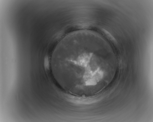 X0000115660026200911191014