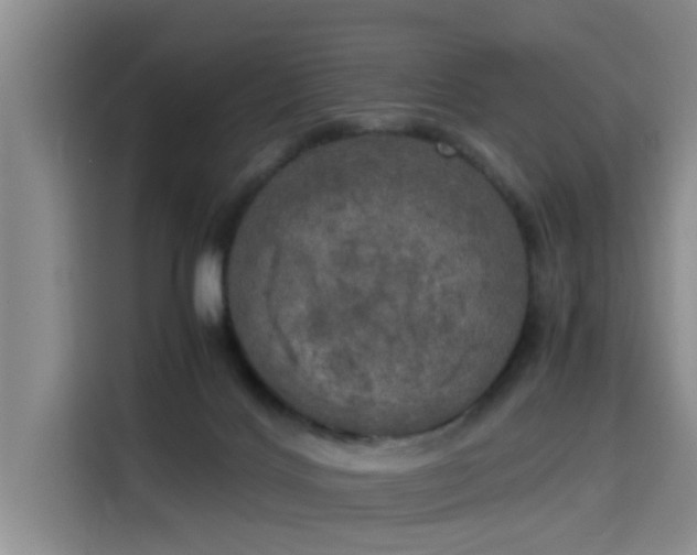 X0000115660028200911191014