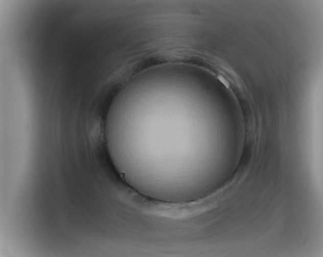 X0000115660029200911191014