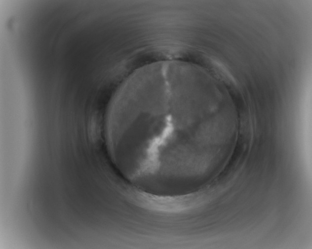 X0000115660030200911191014