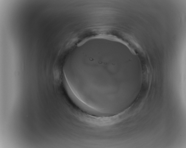 X0000115660031200911191014