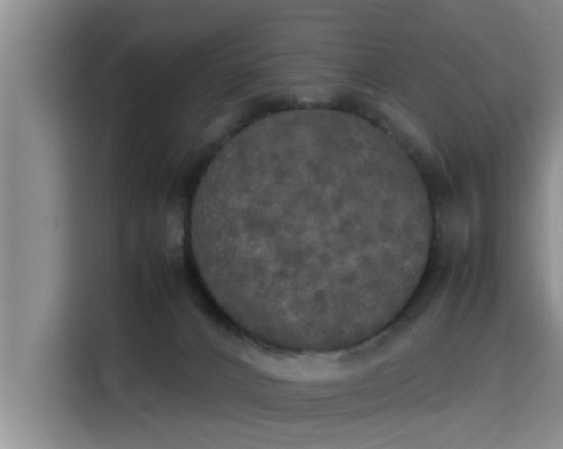 X0000115660032200911191014