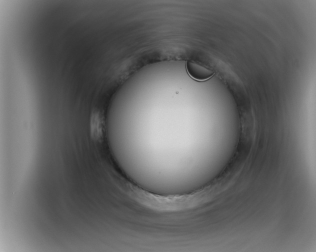 X0000115660038200911191014