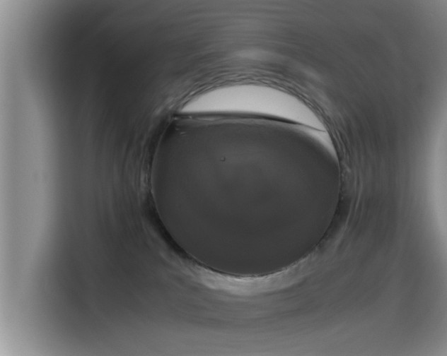 X0000115660039200911191014