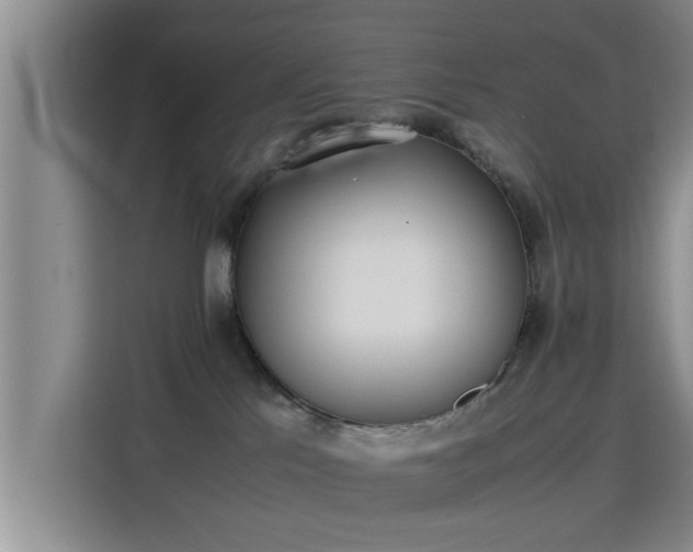 X0000115660041200911191014