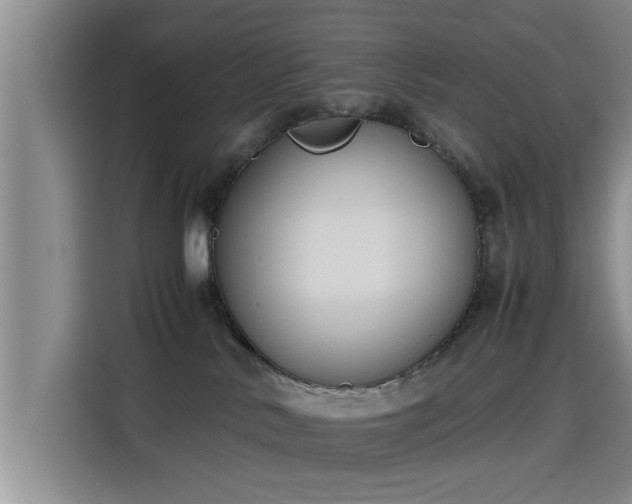X0000115660042200911191014