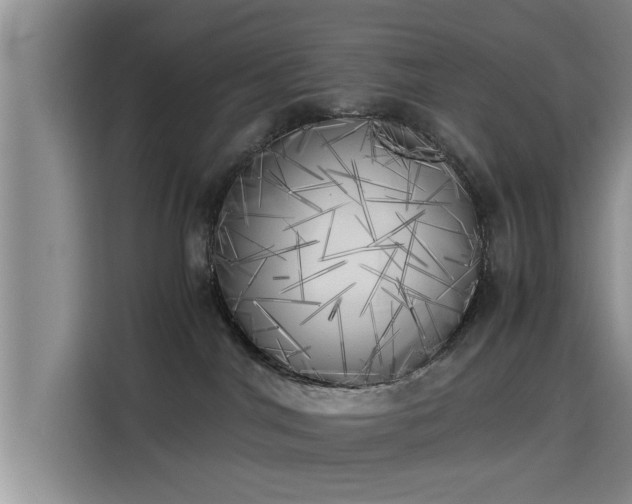 X0000115660044200911191014