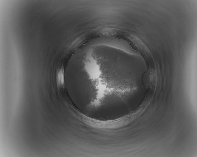 X0000115660046200911191014
