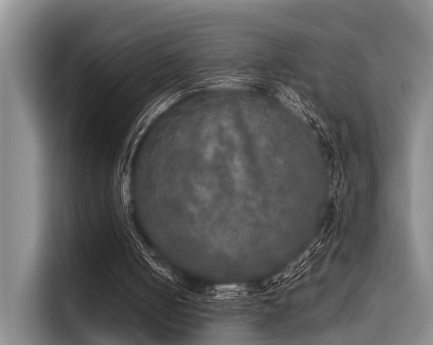 X0000115660050200911191013