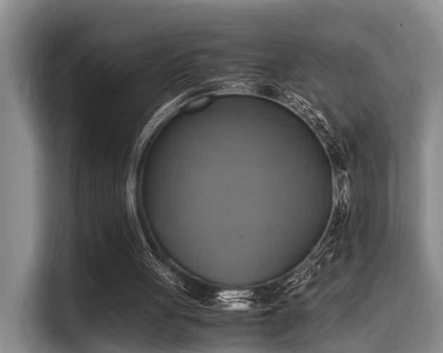X0000115660051200911191013