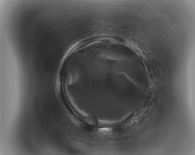 X0000115660053200911191013
